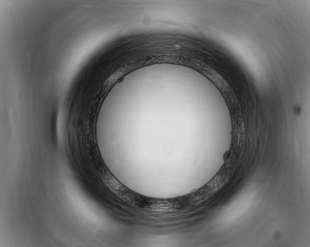 X0000101150189200806270809