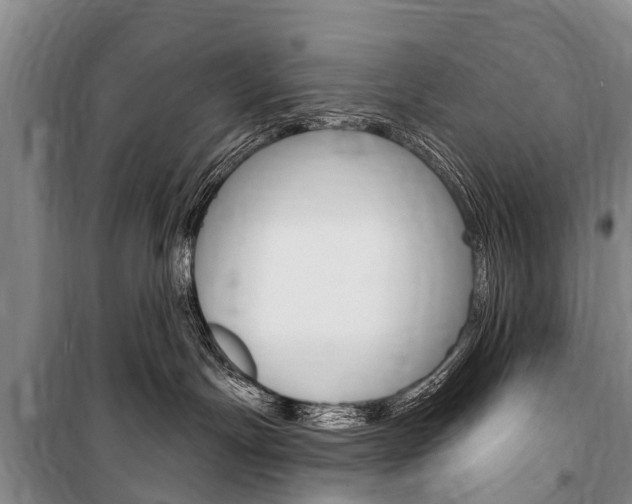 X0000101150191200806270809