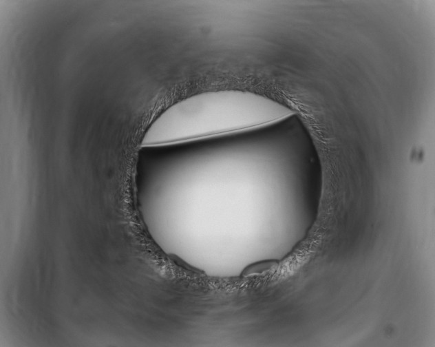 X0000101150192200806270809