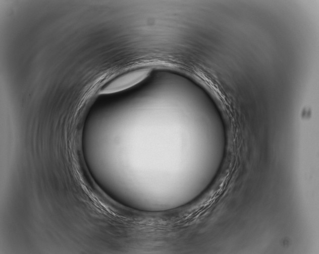 X0000101150193200806270808
