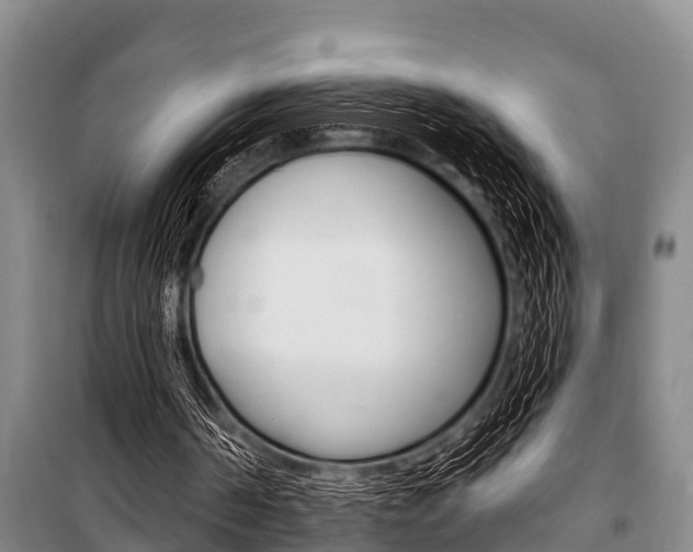 X0000101150194200806270808