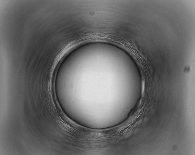 X0000101150195200806270808