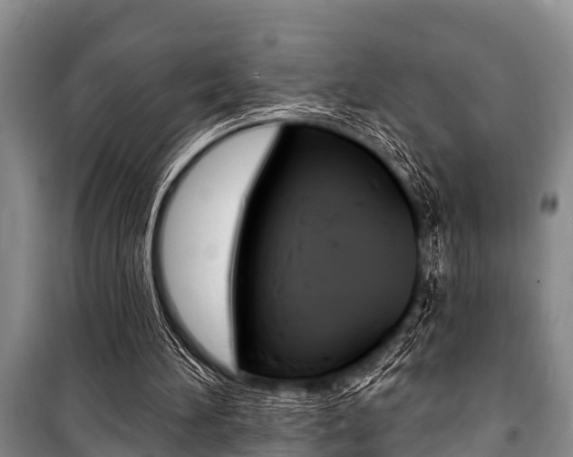 X0000101150196200806270808