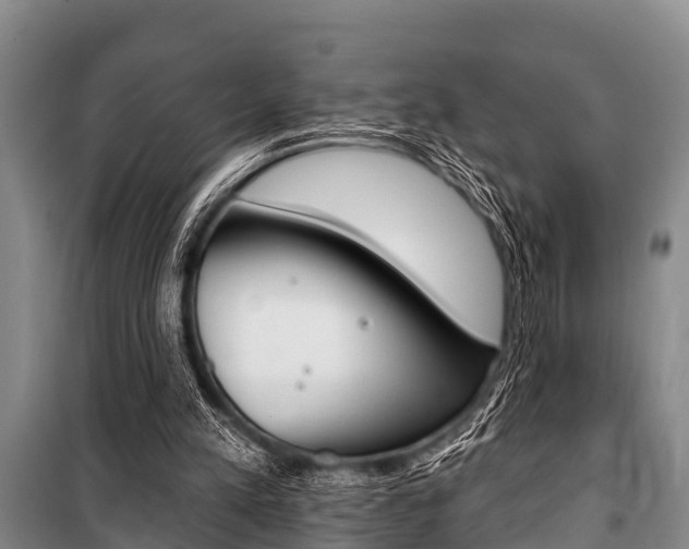 X0000101150197200806270808