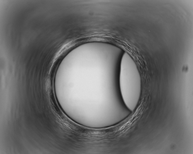 X0000101150198200806270808