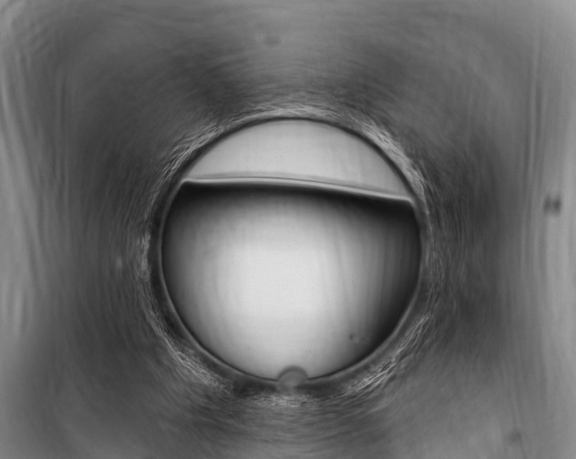 X0000101150201200806270808
