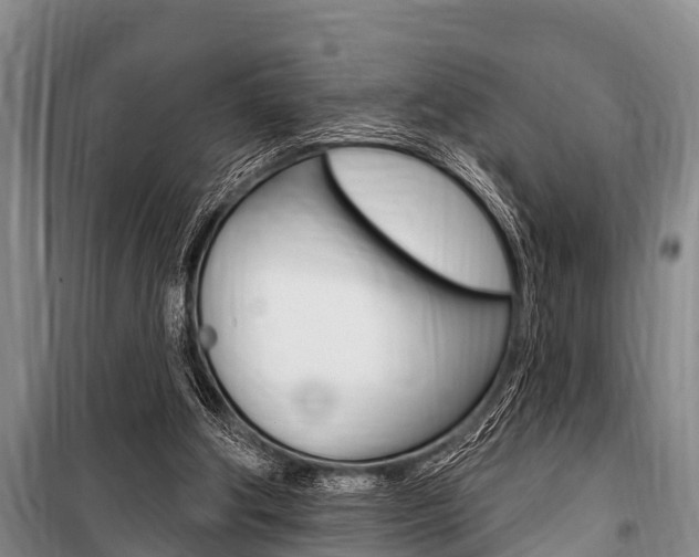X0000101150202200806270808