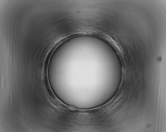 X0000101150203200806270808