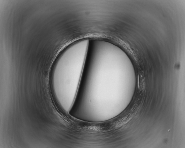 X0000101150204200806270808