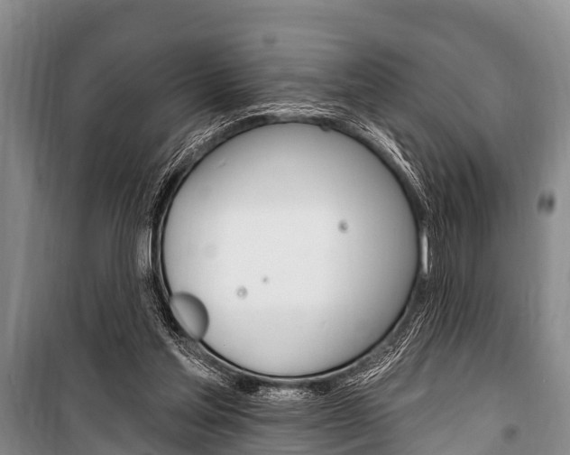 X0000101150205200806270808