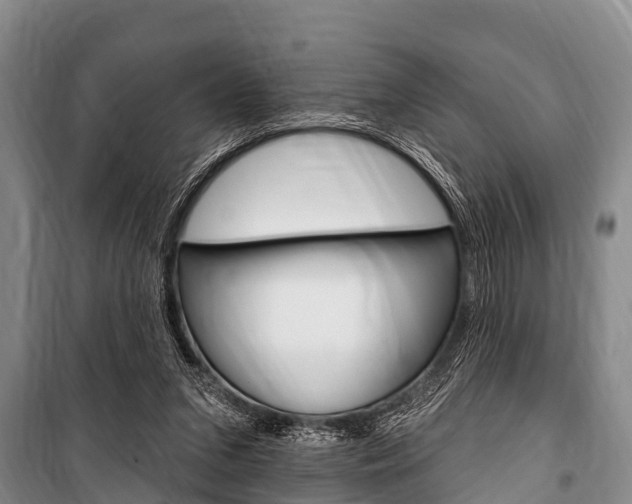 X0000101150207200806270808