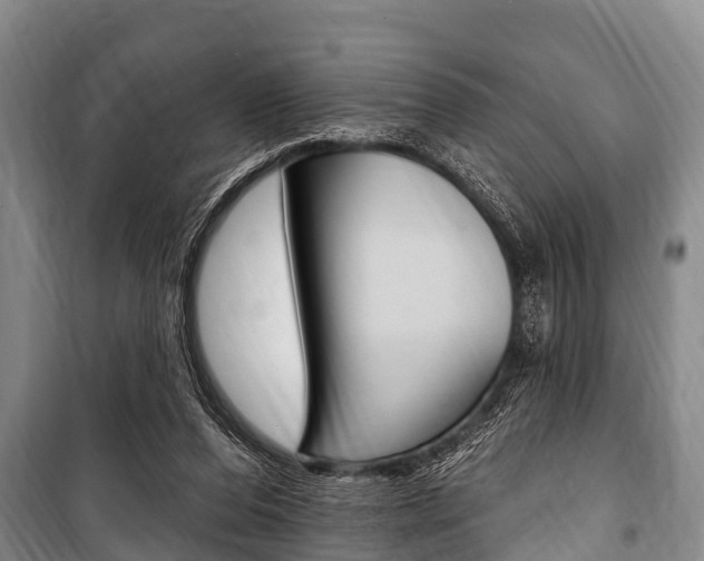 X0000101150208200806270808