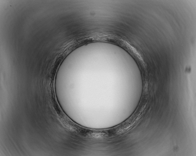 X0000101150209200806270808