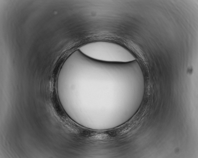 X0000101150210200806270808