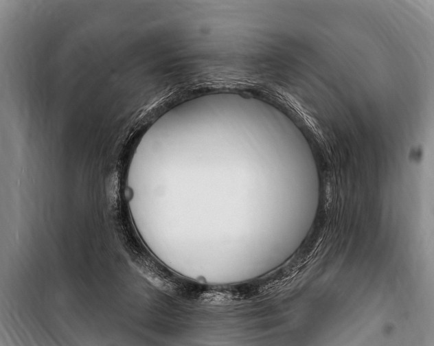 X0000101150211200806270808