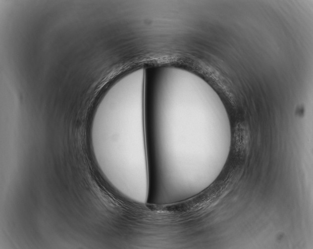 X0000101150212200806270808