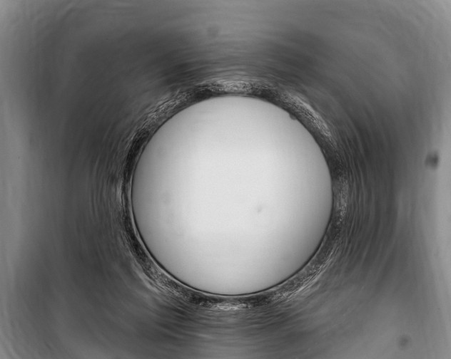 X0000101150213200806270808