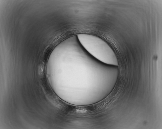 X0000101150214200806270808