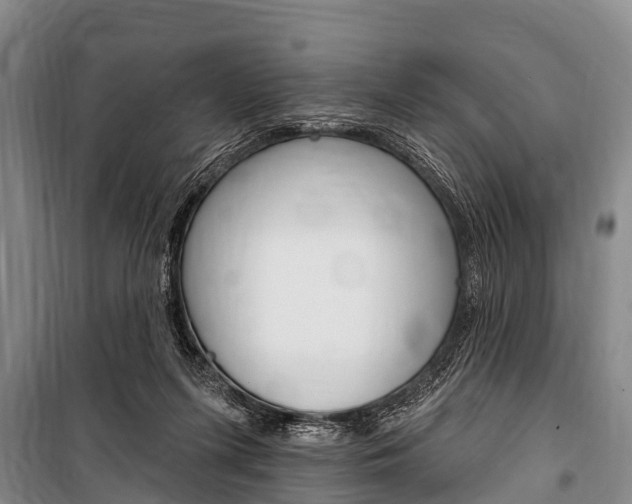 X0000101150215200806270808