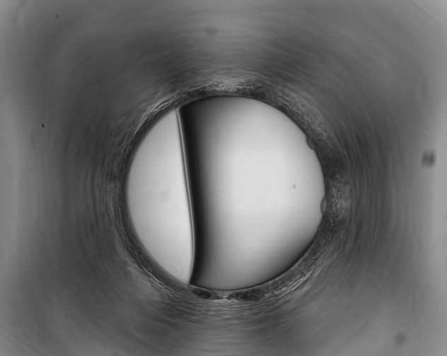 X0000101150216200806270808