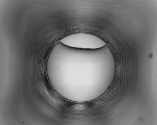X0000101150218200806270808