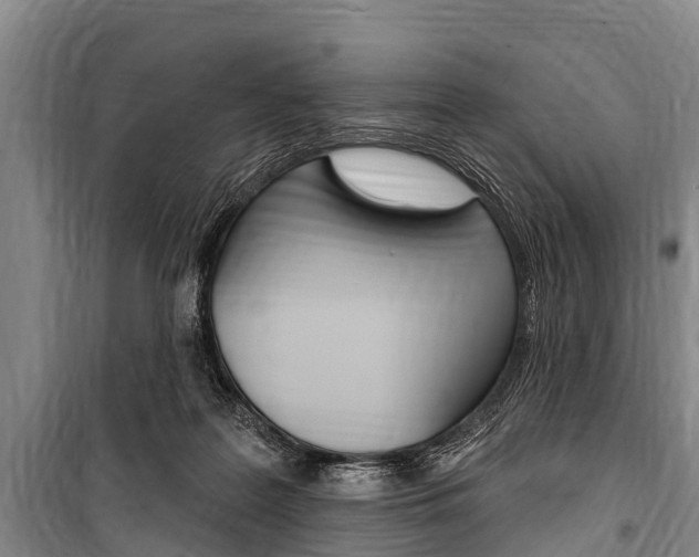 X0000101150219200806270807
