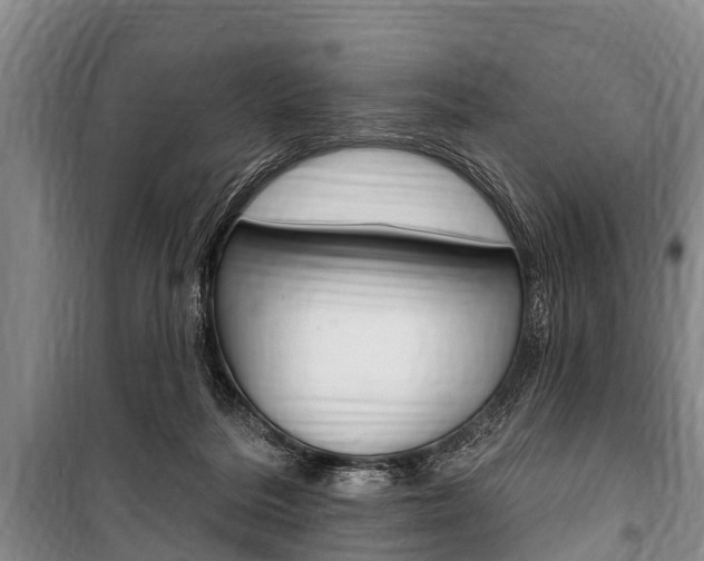 X0000101150220200806270807