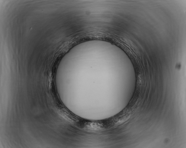 X0000101150223200806270807