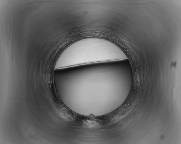 X0000101150224200806270807