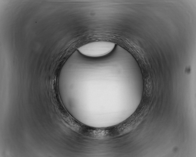 X0000101150225200806270807