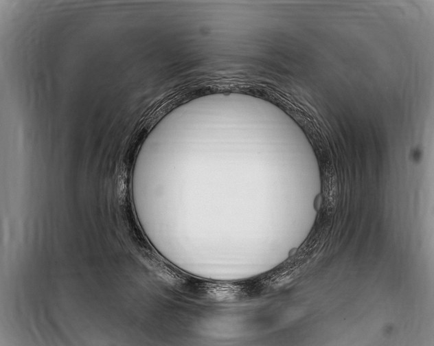 X0000101150226200806270807