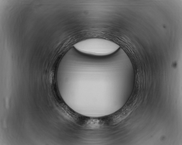 X0000101150227200806270807
