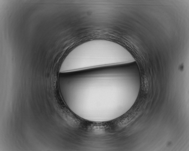 X0000101150228200806270807