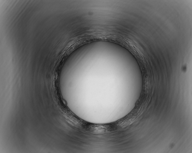 X0000101150229200806270807