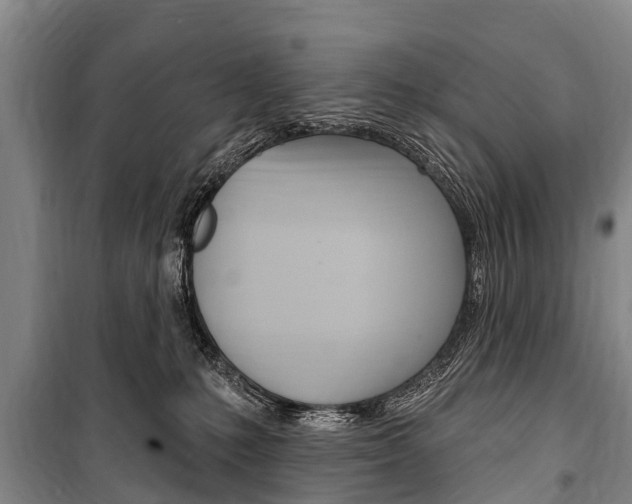 X0000101150231200806270807