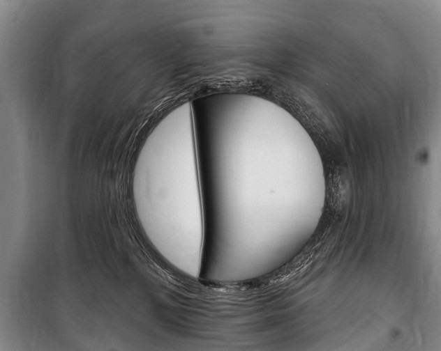 X0000101150232200806270807