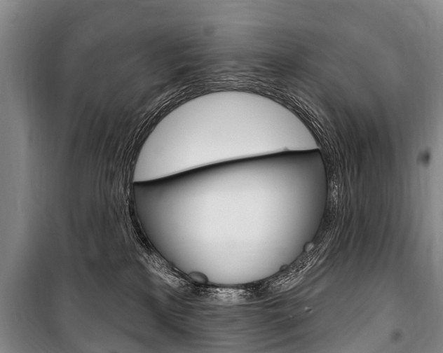 X0000101150233200806270807