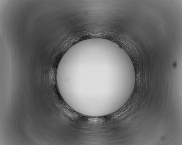 X0000101150234200806270807