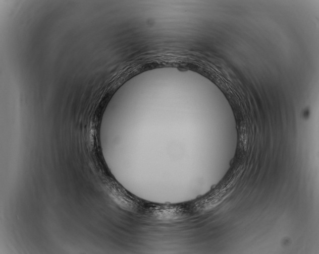 X0000101150235200806270807