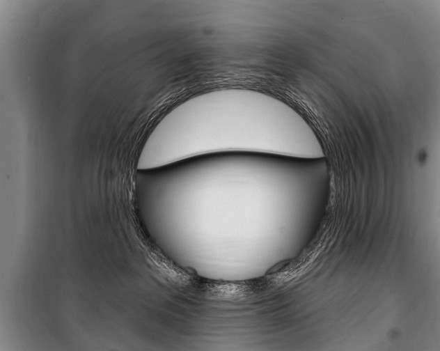 X0000101150237200806270807
