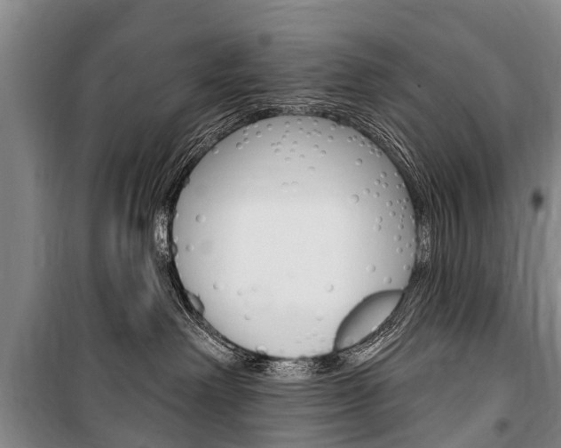 X0000101150238200806270807