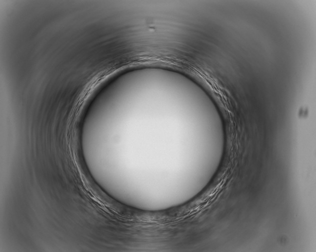 X0000101150241200806270806