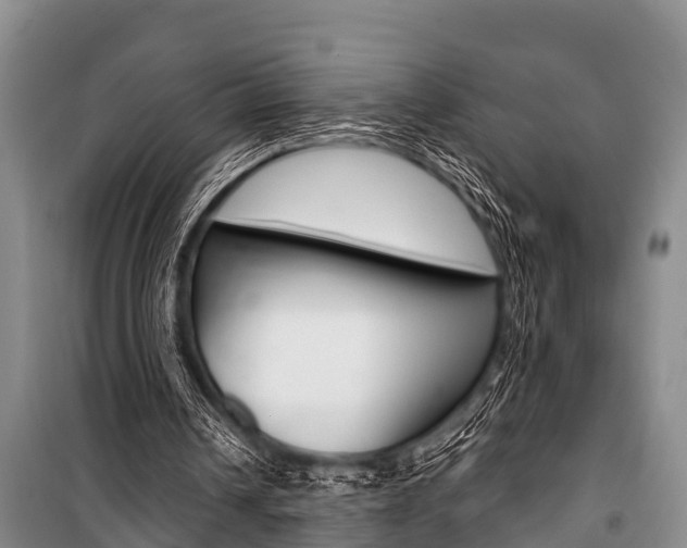 X0000101150242200806270806