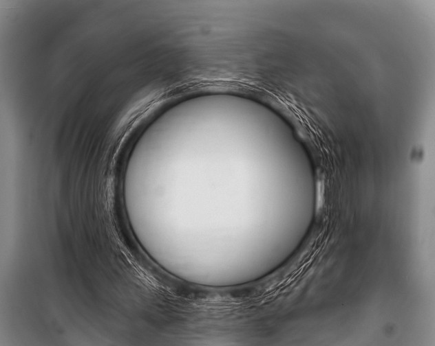 X0000101150243200806270806