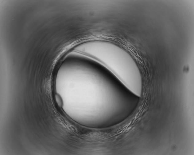 X0000101150244200806270806