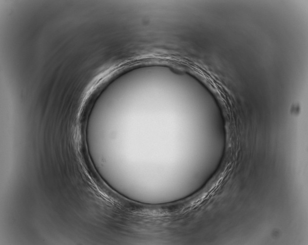 X0000101150245200806270807