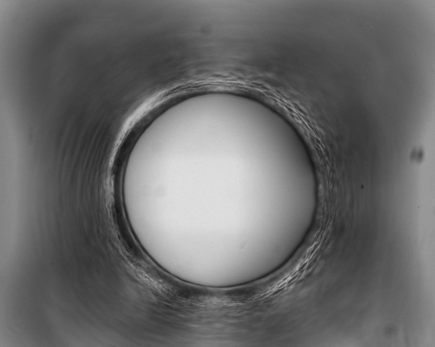 X0000101150246200806270807