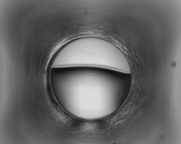 X0000101150248200806270807