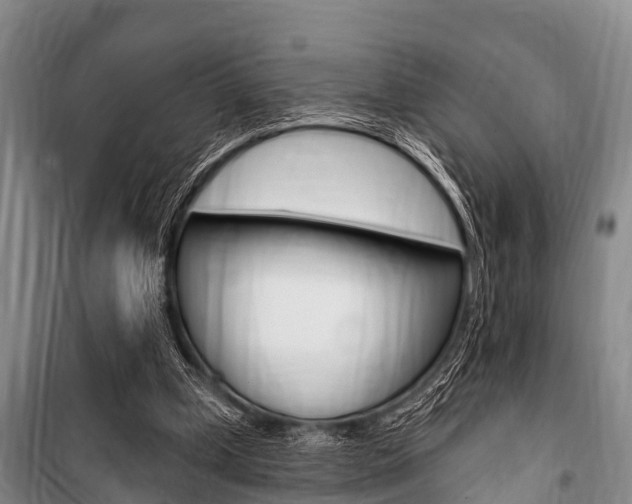 X0000101150249200806270807