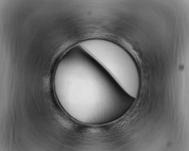 X0000101150250200806270807